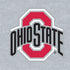 Ohio State University OSU Logo Nintendo 2DS XL (2017) Skin