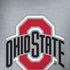 Ohio State University OSU Logo Moto G6 Skin