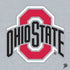 Ohio State University OSU Logo PS4 Pro Bundle Skin
