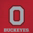 Ohio State University OSU O iPhone X Pro Case