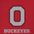 Ohio State University OSU O iPhone XS Max Skin