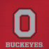 Ohio State University OSU O iPhone XS Pro Case