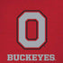 Ohio State University OSU O iPhone XS Skin