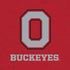 Ohio State University OSU O Moto E5 Play Skin