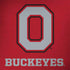 Ohio State University OSU O Notebook 9 Pro 13in (2017) Skin
