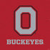 Ohio State University OSU O PS4 Slim Skin
