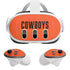 Oklahoma State University OSU Basketball Meta Quest 3 Skin