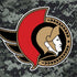 NHL Ottawa Senators Camo HP Spectre Skin