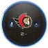 NHL Ottawa Senators Distressed Amazon Echo Skin