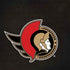 NHL Ottawa Senators Distressed Galaxy Note 8 Skin