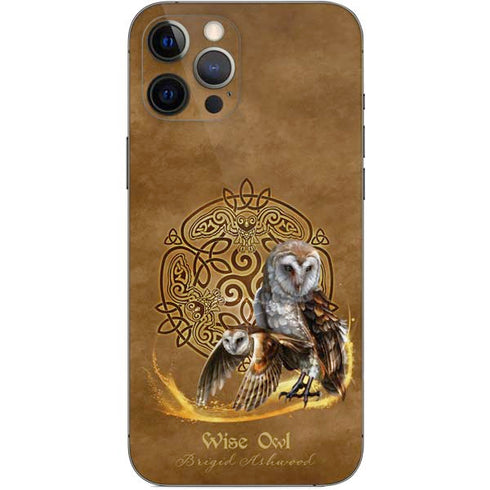 Brigid Ashwood Owl Celtic Knot iPhone 12 Pro Max Skin