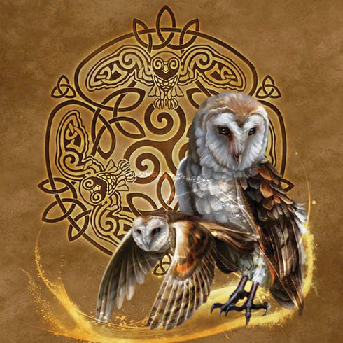 Brigid Ashwood Owl Celtic Knot iPhone XR Pro Case
