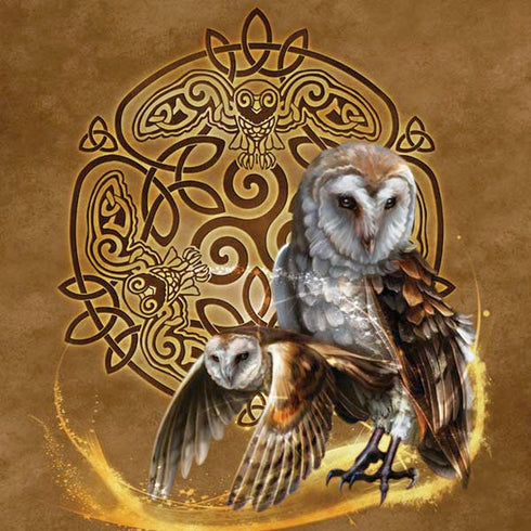 Brigid Ashwood Owl Celtic Knot iPhone XR Skin