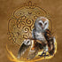 Brigid Ashwood Owl Celtic Knot iPhone XS Pro Case