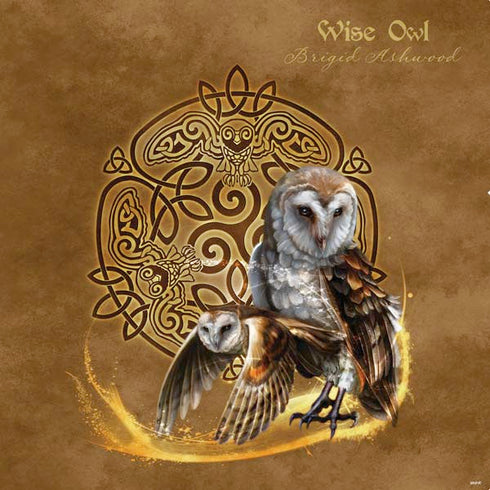 Brigid Ashwood Owl Celtic Knot PS4 Console and Controller Bundle Skin