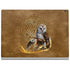 Brigid Ashwood Owl Celtic Knot Surface Book 2 13.5in Skin