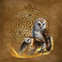 Brigid Ashwood Owl Celtic Knot Surface Book 2 13.5in Skin