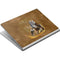 Brigid Ashwood Owl Celtic Knot Surface Book Skin