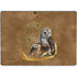 Brigid Ashwood Owl Celtic Knot Surface Pro 9 Skin