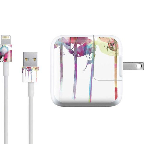 Painted Flowers iPad Charger (10W USB) Skin