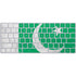 Pakistan Flag Distressed Magic Keyboard Skin