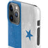 Panama Flag Distressed iPhone 11 Pro Lite Case