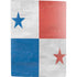 Panama Flag Distressed PS5 Digital Edition Bundle Skin