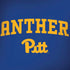 University of Pittsburgh Panthers Pitt Dell Alienware Skin