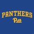 University of Pittsburgh Panthers Pitt PS4 Slim Skin