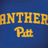 University of Pittsburgh Panthers Pitt HP Spectre Skin