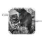 Alchemy Paracelsus - The Philosophers Familiar 85W Power Adapter (15 and 17 inch MacBook Pro Charger) Skin
