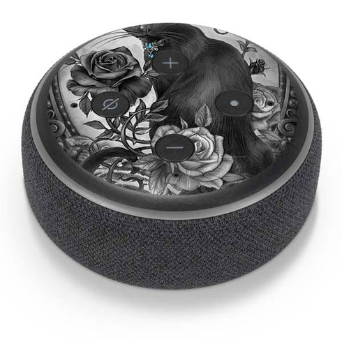 Alchemy Paracelsus - The Philosophers Familiar Amazon Echo Dot Skin