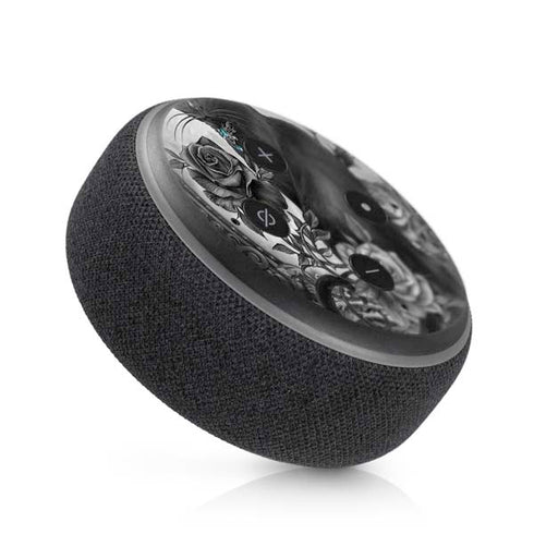 Alchemy Paracelsus - The Philosophers Familiar Amazon Echo Dot Skin