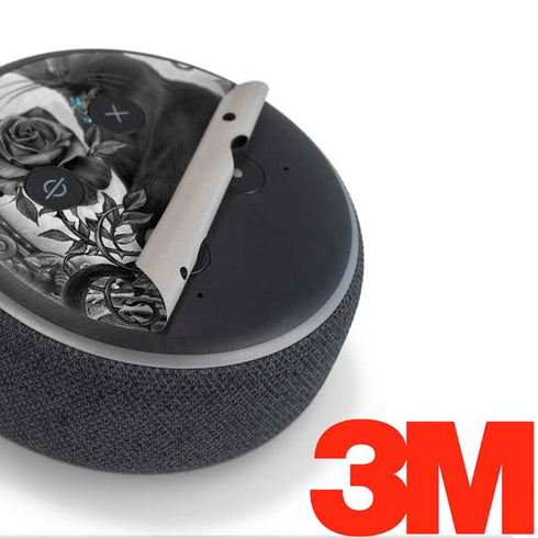 Alchemy Paracelsus - The Philosophers Familiar Amazon Echo Dot Skin