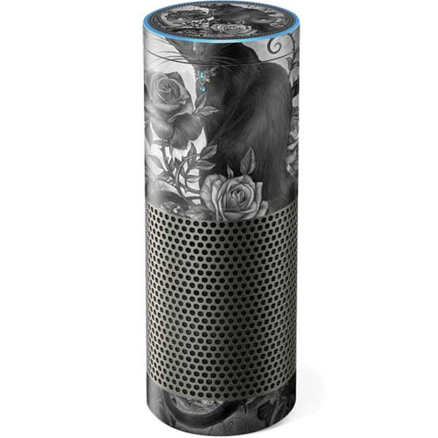 Alchemy Paracelsus - The Philosophers Familiar Amazon Echo Skin