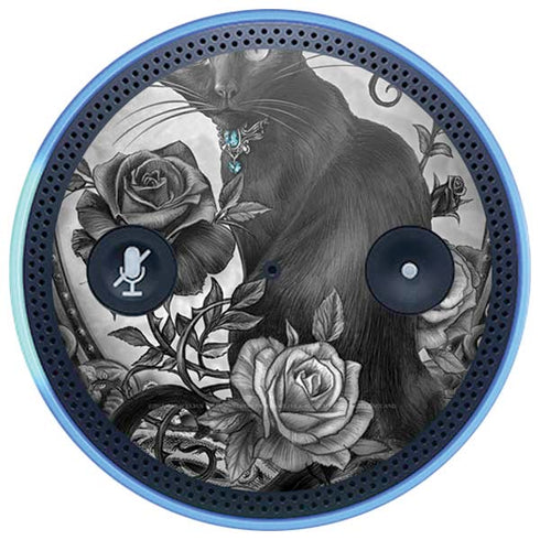 Alchemy Paracelsus - The Philosophers Familiar Amazon Echo Skin