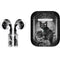 Alchemy Paracelsus - The Philosophers Familiar Apple AirPods 2 Skin