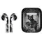 Alchemy Paracelsus - The Philosophers Familiar Apple AirPods Skin