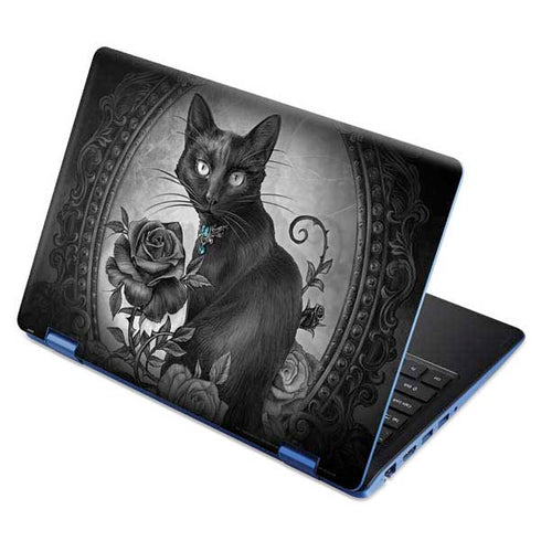 Alchemy Paracelsus - The Philosophers Familiar Aspire R11 11.6in Skin