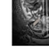 Alchemy Paracelsus - The Philosophers Familiar Bose Noise Cancelling Headphones 700 Skin