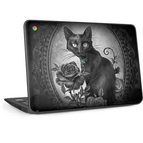 Alchemy Paracelsus - The Philosophers Familiar HP Chromebook Skin
