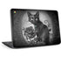 Alchemy Paracelsus - The Philosophers Familiar HP Chromebook Skin