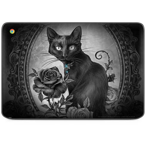 Alchemy Paracelsus - The Philosophers Familiar HP Chromebook Skin