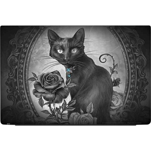 Alchemy Paracelsus - The Philosophers Familiar Dell Vostro Skin