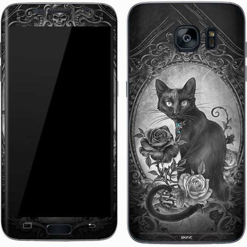 Alchemy Paracelsus - The Philosophers Familiar Galaxy S7 Skin
