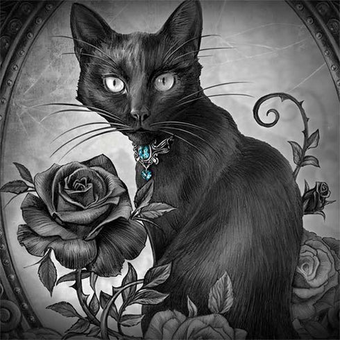 Alchemy Paracelsus - The Philosophers Familiar Dell Inspiron Skin