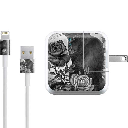 Alchemy Paracelsus - The Philosophers Familiar iPad Charger (10W USB) Skin