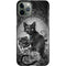Alchemy Paracelsus - The Philosophers Familiar iPhone 11 Pro Lite Case