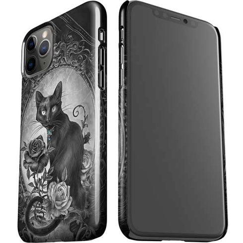 Alchemy Paracelsus - The Philosophers Familiar iPhone 11 Pro Lite Case