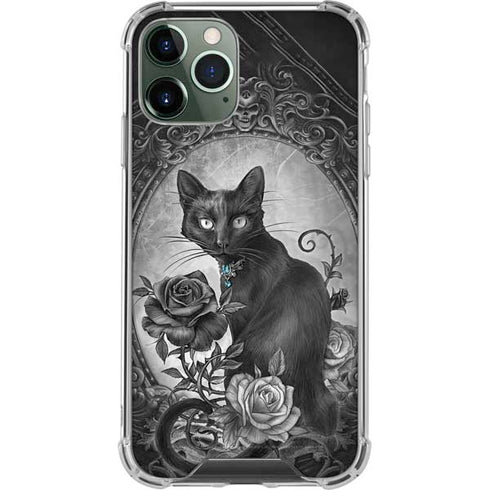 Alchemy Paracelsus - The Philosophers Familiar iPhone 11 Pro Max Clear Case